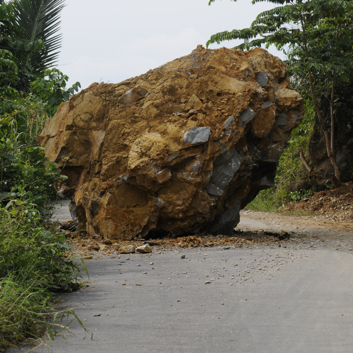 Rock in the middle of the road